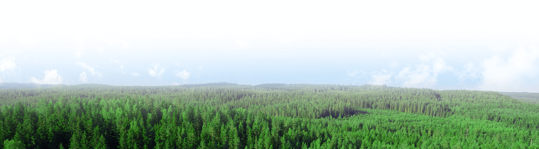 森林資源から世界中の暮らしに彩りと安心・安全、そして豊かさをお届けします