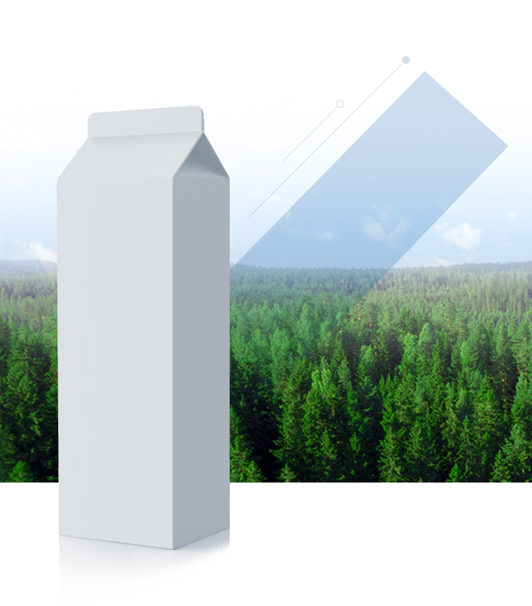 森林資源から世界中の暮らしに彩りと安心・安全、そして豊かさをお届けします